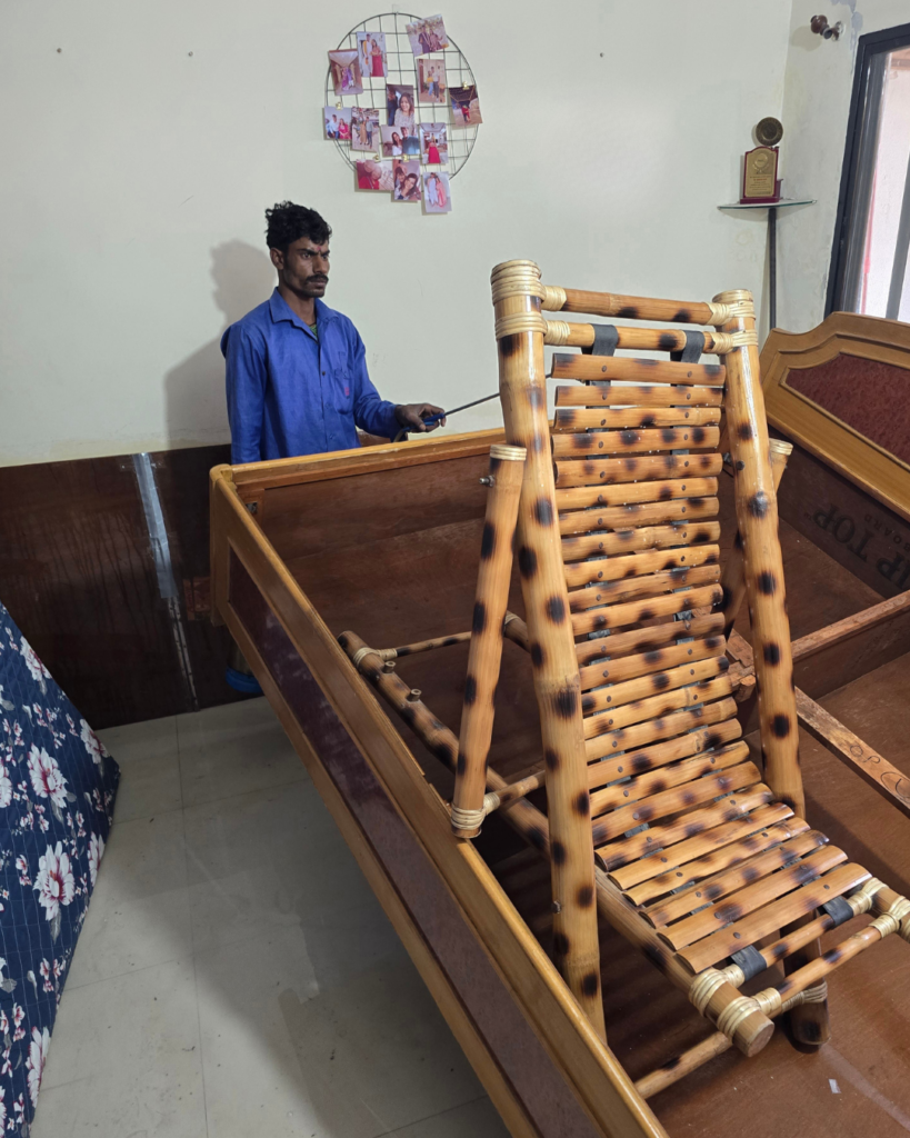 bed-bug-conrol-killer-pest